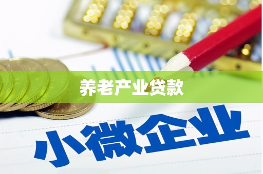 福建养老产业贷款