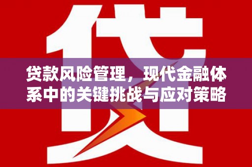 福建贷款风险管理，现代金融体系中的关键挑战与应对策略