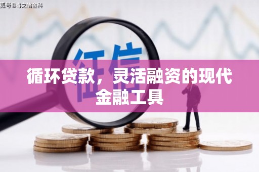 福建循环贷款，灵活融资的现代金融工具