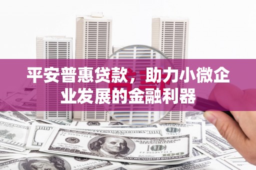 福建平安普惠贷款，助力小微企业发展的金融利器