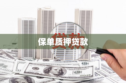 福建保单质押贷款