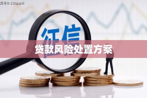 福建贷款风险处置方案