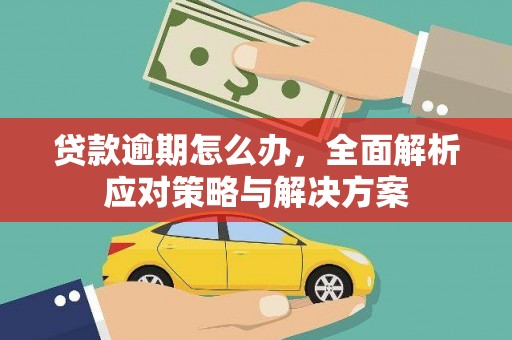 福建贷款逾期怎么办，全面解析应对策略与解决方案