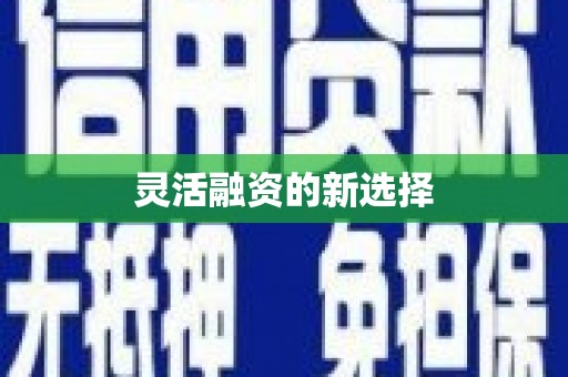 福建灵活融资的新选择