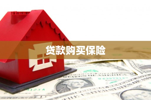 福建贷款购买保险