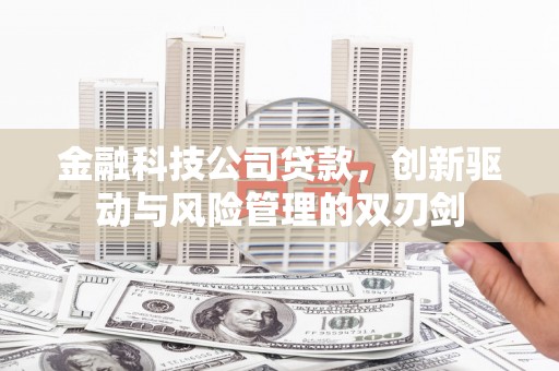 福建金融科技公司贷款，创新驱动与风险管理的双刃剑